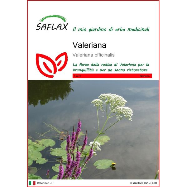 Saflax - Valeriana - 200 Semi - Valeriana-image