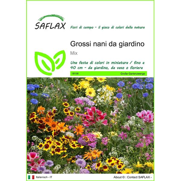 Saflax - Grossi Nani Da Giardino - 1000 Semi - Mix-image