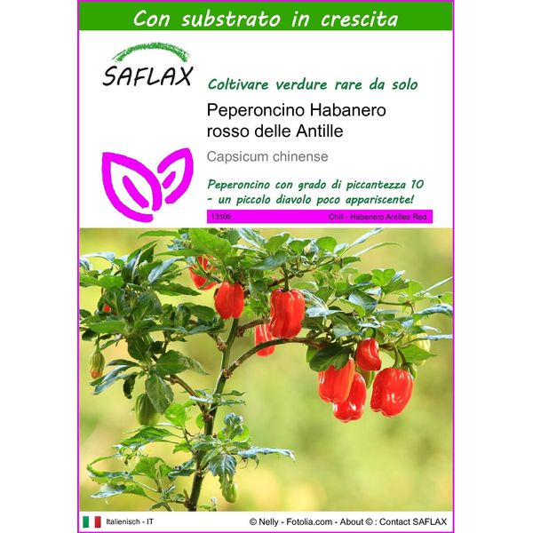 Saflax - Peperoncino Habanero Rosso Delle Antille - 10 Semi - Con Substrato - Capsicum-image