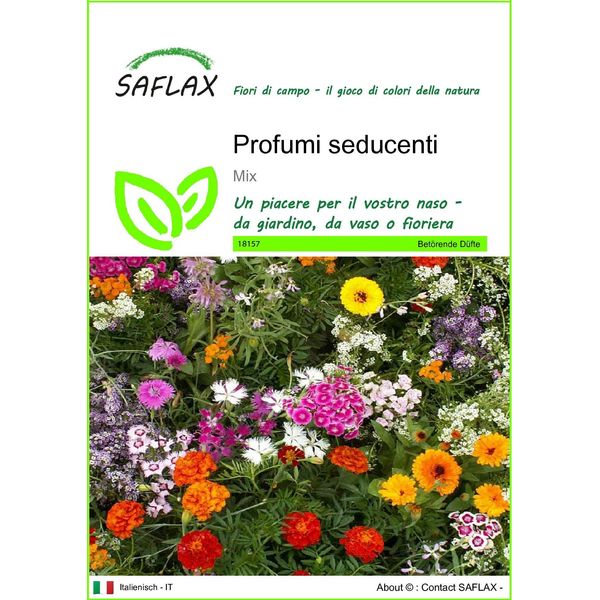 Saflax - Profumi Seducenti - 1000 Semi - Mix-image