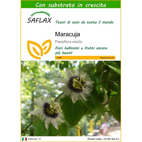 Saflax - Maracuja - 40 Semi - Con Substrato - Passiflora-image