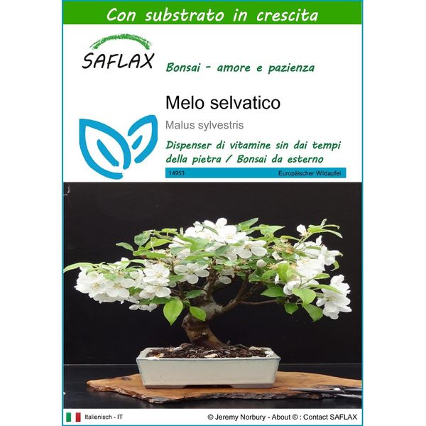 Saflax - Melo Selvatico - 30 Semi - Con Substrato - Malus-image