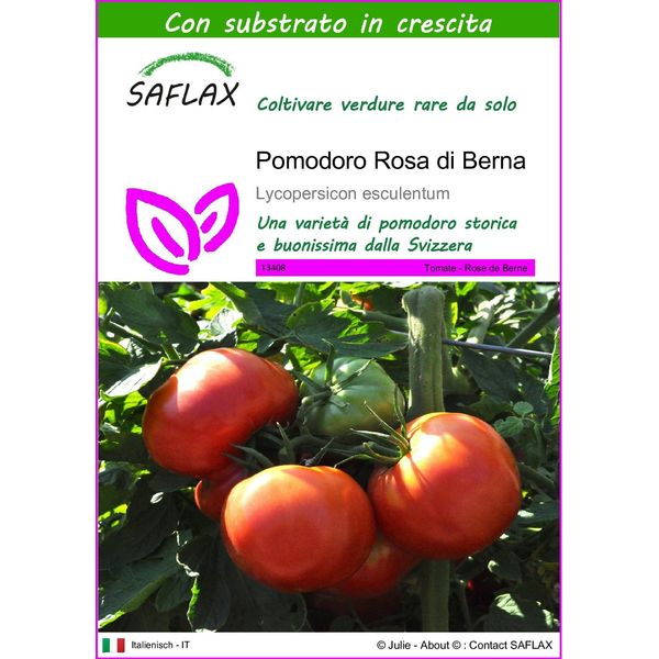 Saflax - Pomodoro Rosa Di Berna - 10 Semi - Con Substrato - Lycopersicon-image