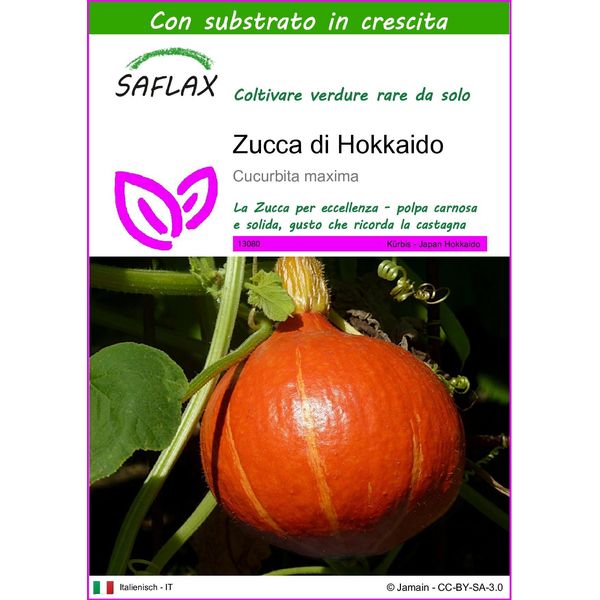Saflax - Zucca Di Hokkaido - 10 Semi - Con Substrato - Cucurbita-image
