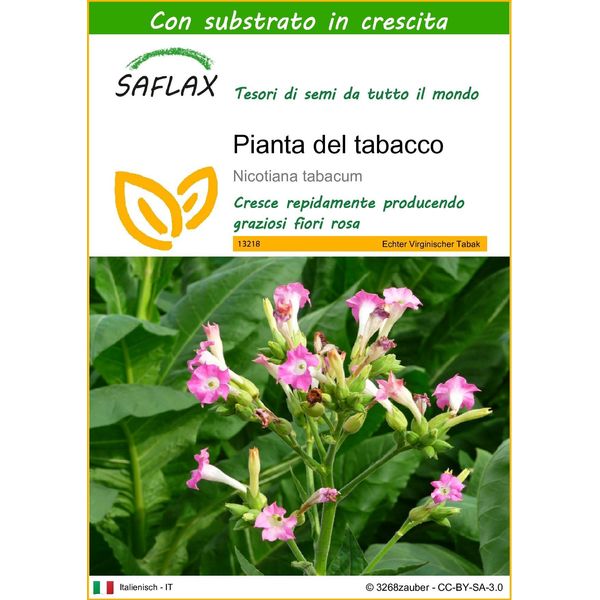 Saflax - Pianta Del Tabacco - 250 Semi - Con Substrato - Nicotiana-image