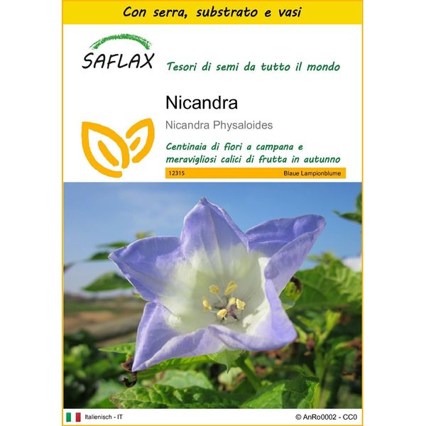 Saflax Insieme Di Coltivazione - Nicandra - 100 Semi - Nicandra-image