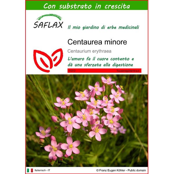 Saflax - Centaurea Minore - 250 Semi - Con Substrato - Centaurium-image