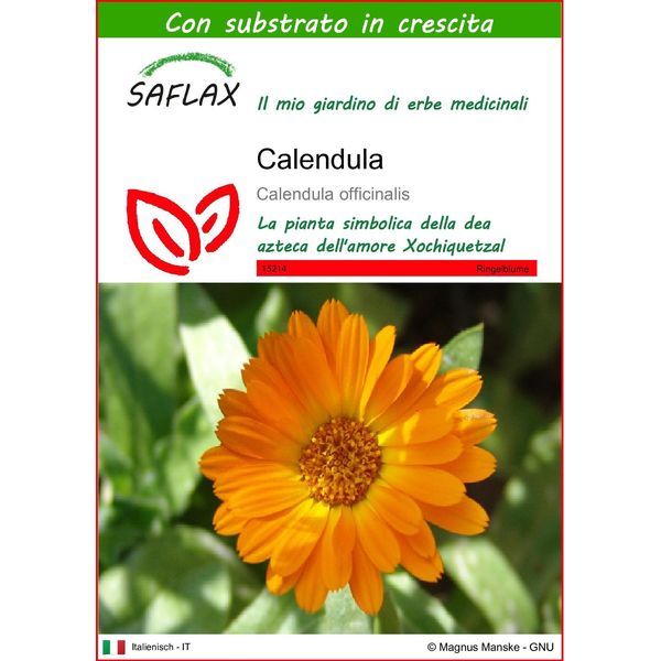 Saflax - Calendula - 50 Semi - Con Substrato - Calendula-image