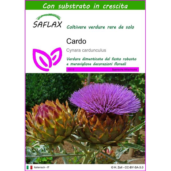 Saflax - Cardo - 50 Semi - Con Substrato - Cynara-image