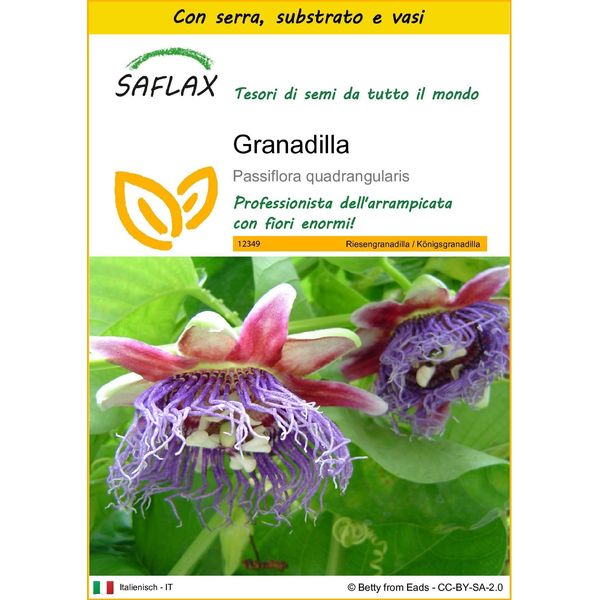Saflax Insieme Di Coltivazione - Granadilla - 12 Semi - Passiflora-image