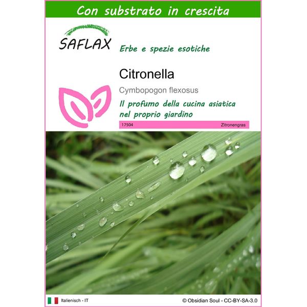 Saflax - Citronella - 50 Semi - Con Substrato - Cymbopogon-image