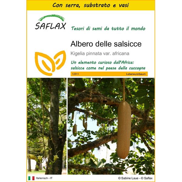 Saflax Insieme Di Coltivazione - Albero Delle Salsicce - 10 Semi - Kigelia-image