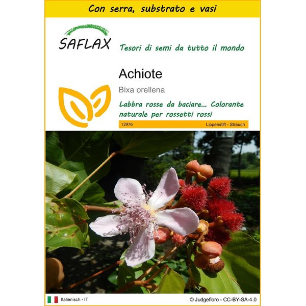 Saflax Insieme Di Coltivazione - Achiote - 20 Semi - Bixa-image