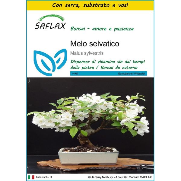 Saflax Insieme Di Coltivazione - Melo Selvatico - 30 Semi - Malus-image