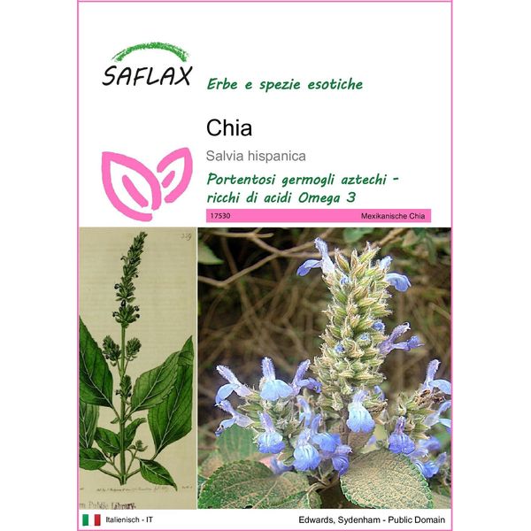 Saflax - Chia - 500 Semi - Salvia-image