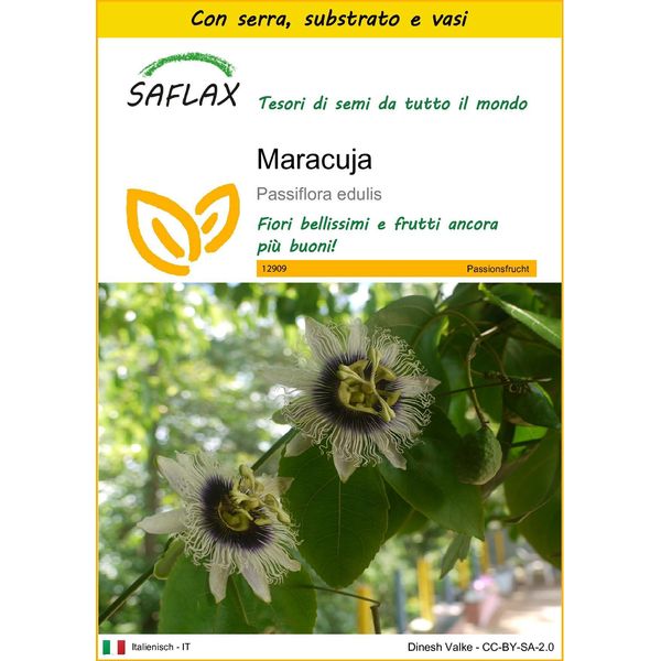 Saflax Insieme Di Coltivazione - Maracuja - 40 Semi - Passiflora-image