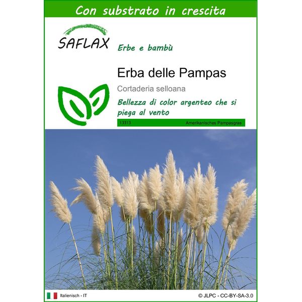 Saflax - Erba Delle Pampas - 200 Semi - Con Substrato - Cortaderia-image