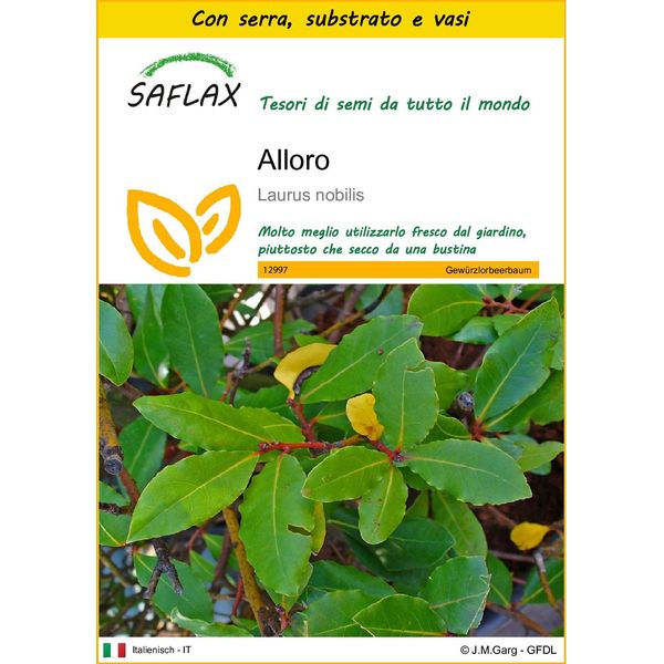 Saflax Insieme Di Coltivazione - Alloro - 6 Semi - Laurus-image