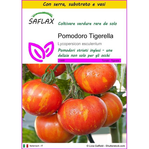 Saflax Insieme Di Coltivazione - Pomodoro Tigerella - 10 Semi - Lycopersicon-image