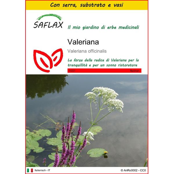 Saflax Insieme Di Coltivazione - Valeriana - 200 Semi - Valeriana-image