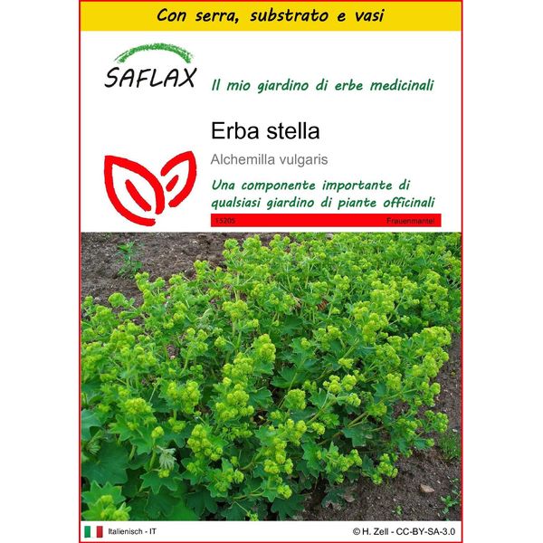 Saflax Insieme Di Coltivazione - Erba Stella - 100 Semi - Alchemilla-image