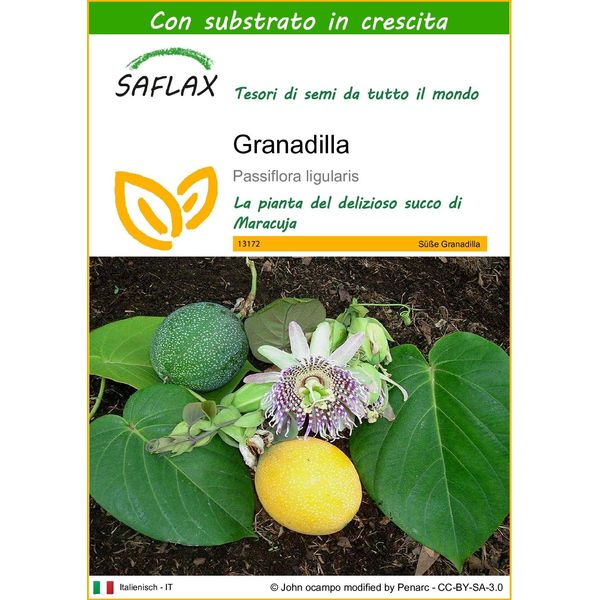 Saflax - Granadilla - 20 Semi - Con Substrato - Passiflora-image