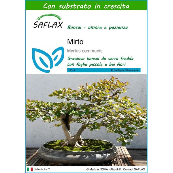 Saflax - Mirto - 30 Semi - Con Substrato - Myrtus-image
