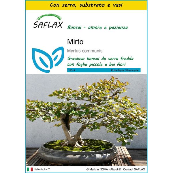 Saflax Insieme Di Coltivazione - Mirto - 30 Semi - Myrtus-image