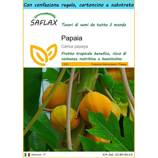 Saflax Set Regalo - Papaia - 30 Semi - Carica-image