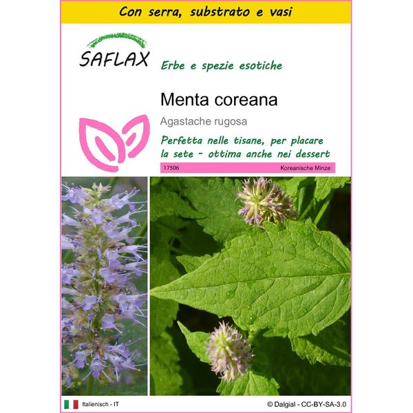 Saflax Insieme Di Coltivazione - Menta Coreana - 1200 Semi - Agastache-image