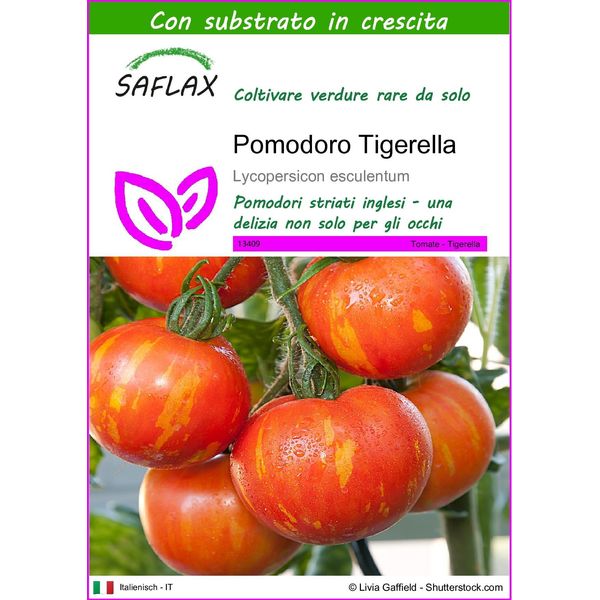Saflax - Pomodoro Tigerella - 10 Semi - Con Substrato - Lycopersicon-image