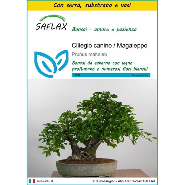 Saflax Insieme Di Coltivazione - Ciliegio Canino / Magaleppo - 30 Semi - Prunus-image