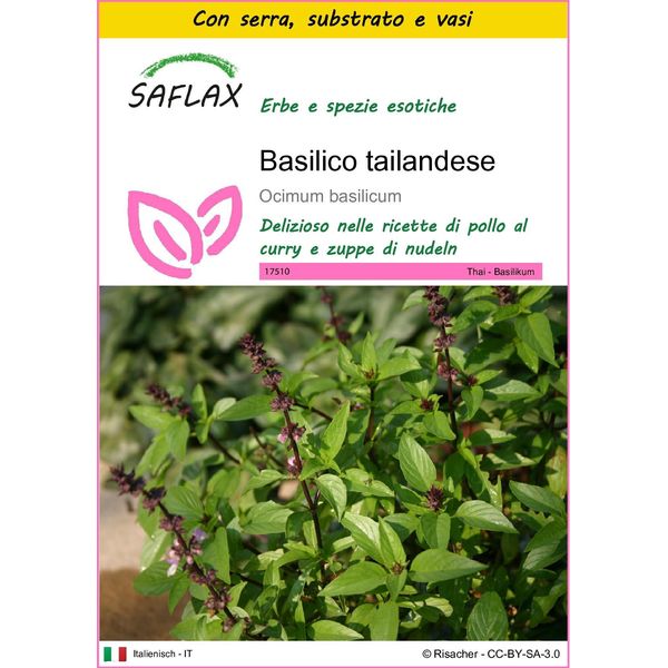 Saflax Insieme Di Coltivazione - Basilico Tailandese - 200 Semi - Ocimum-image