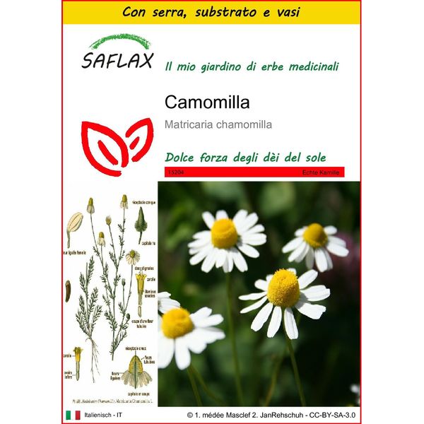 Saflax Insieme Di Coltivazione - Camomilla - 300 Semi - Matricaria-image