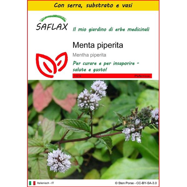 Saflax Insieme Di Coltivazione - Menta Piperita - 300 Semi - Mentha-image