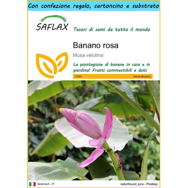 Saflax Set Regalo - Banano Rosa - 8 Semi - Musa-image