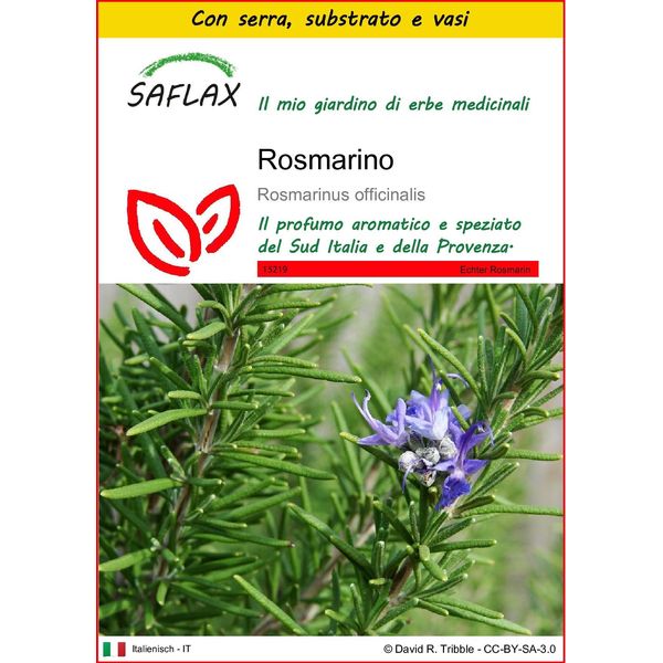 Saflax Insieme Di Coltivazione - Rosmarino - 100 Semi - Rosmarinus-image