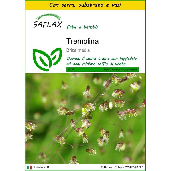 Saflax Insieme Di Coltivazione - Tremolina - 75 Semi - Briza-image
