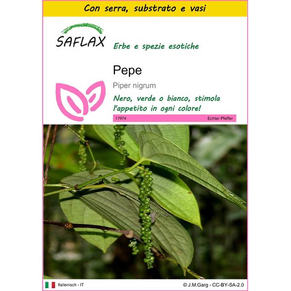 Saflax Insieme Di Coltivazione - Pepe - 20 Semi - Piper-image