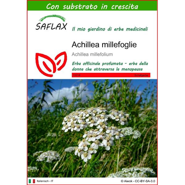 Saflax - Achillea Millefoglie - 200 Semi - Con Substrato - Achillea-image