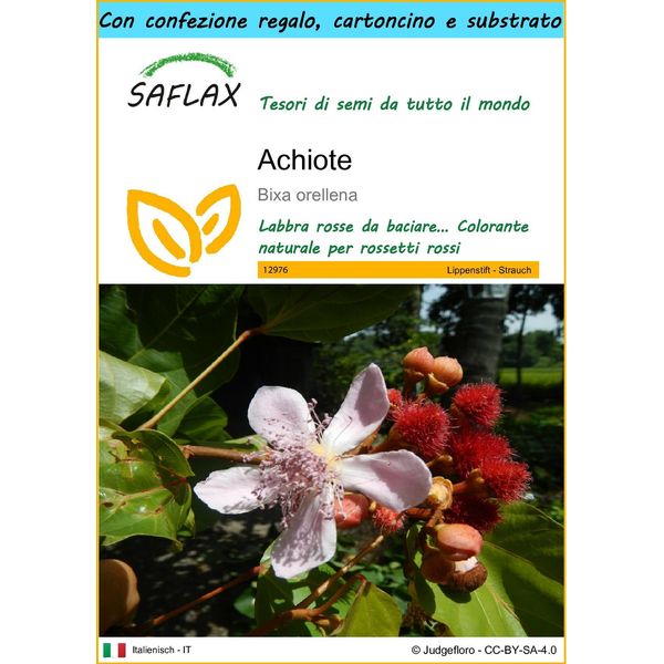 Saflax Set Regalo - Achiote - 20 Semi - Bixa-image