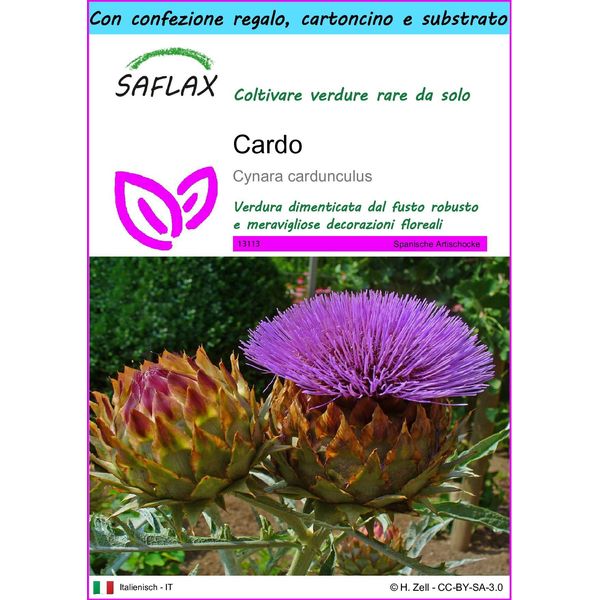 Saflax Set Regalo - Cardo - 50 Semi - Cynara-image