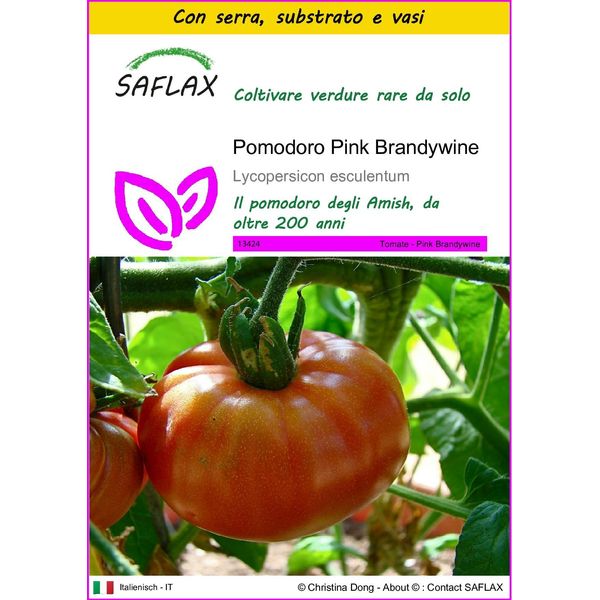 Saflax Insieme Di Coltivazione - Pomodoro Pink Brandywine - 10 Semi - Lycopersicon-image