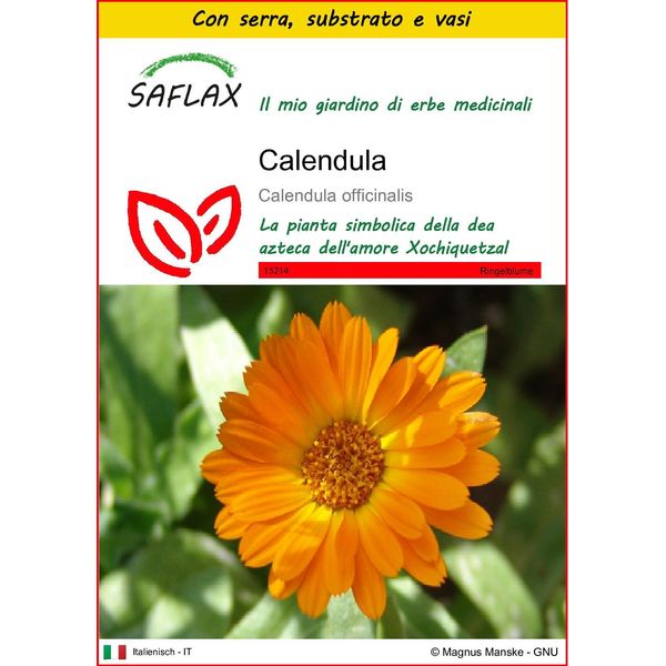Saflax Insieme Di Coltivazione - Calendula - 50 Semi - Calendula-image