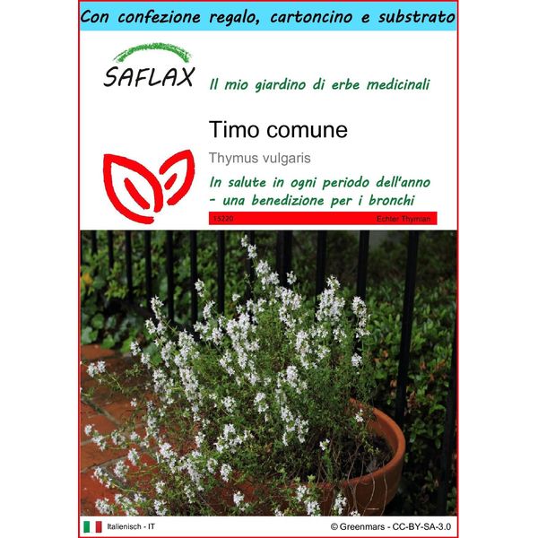 Saflax Set Regalo - Timo Comune - 200 Semi - Thymus-image