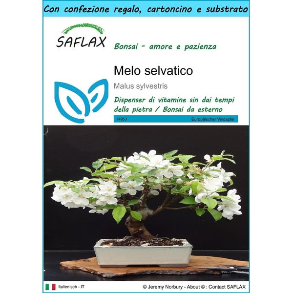 Saflax Set Regalo - Melo Selvatico - 30 Semi - Malus-image