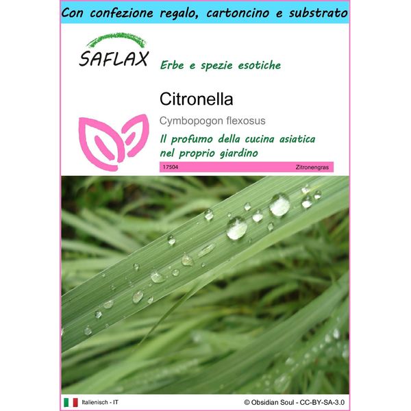 Saflax Set Regalo - Citronella - 50 Semi - Cymbopogon-image