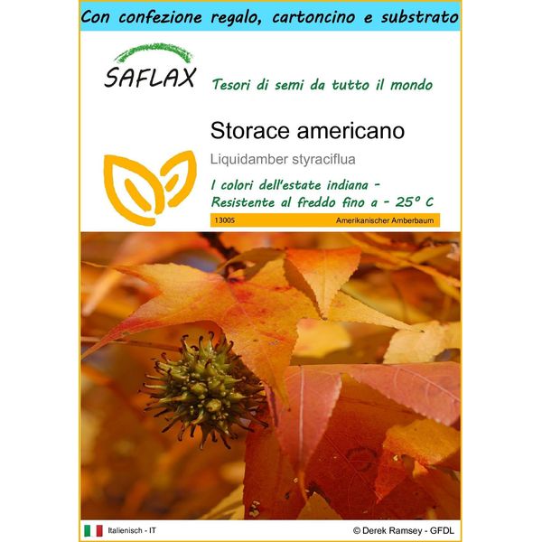 Saflax Set Regalo - Storace Americano - 100 Semi - Liquidamber-image