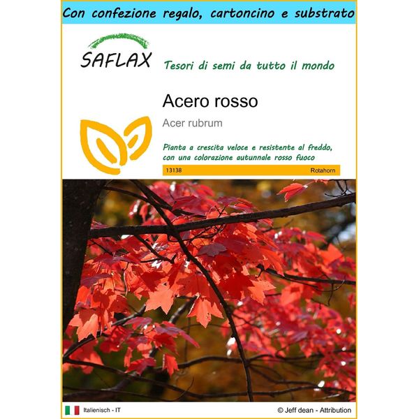 Saflax Set Regalo - Acero Rosso - 20 Semi - Acer-image