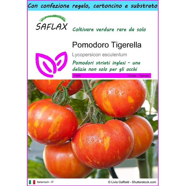Saflax Set Regalo - Pomodoro Tigerella - 10 Semi - Lycopersicon-image